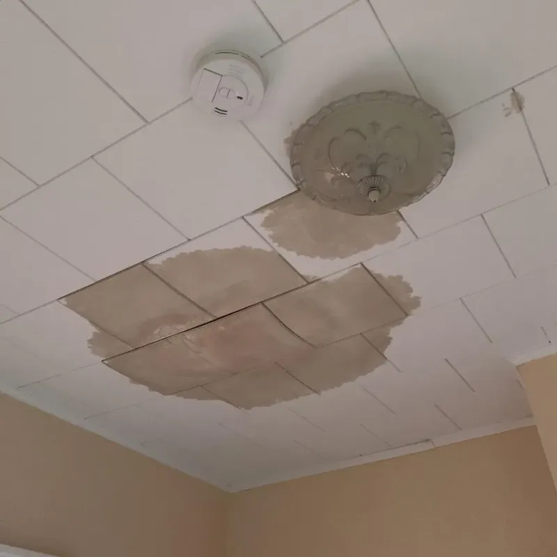 Ceiling Water Damage Repair in Fayette, ME