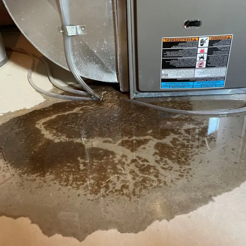 Pipe Burst and Leak Restoration in Fayette, ME