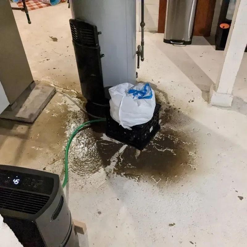 Sewage Backup Cleanup Service in Fayette, ME